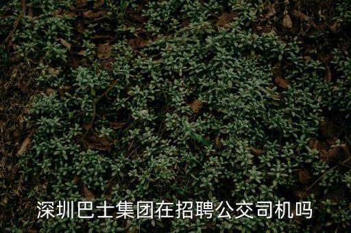 深圳巴士集團在招聘公交司機嗎