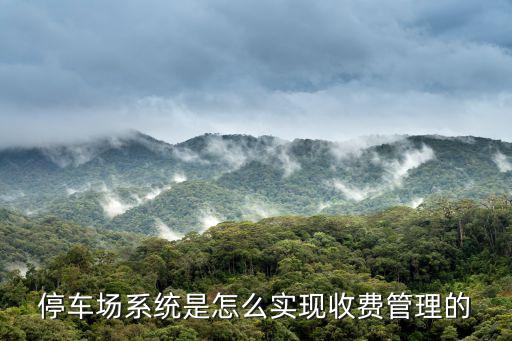 停車場怎么管理系統，現代停車場管理系統該怎么建設