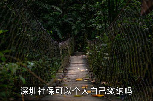 深圳社?？梢詡€人自己繳納嗎