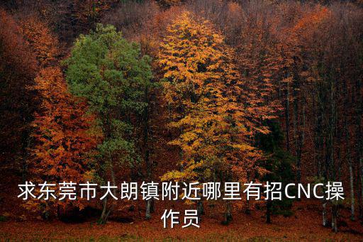 求東莞市大朗鎮(zhèn)附近哪里有招CNC操作員