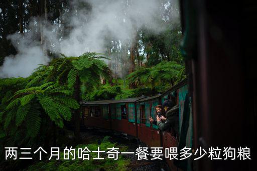 兩三個月的哈士奇一餐要喂多少粒狗糧