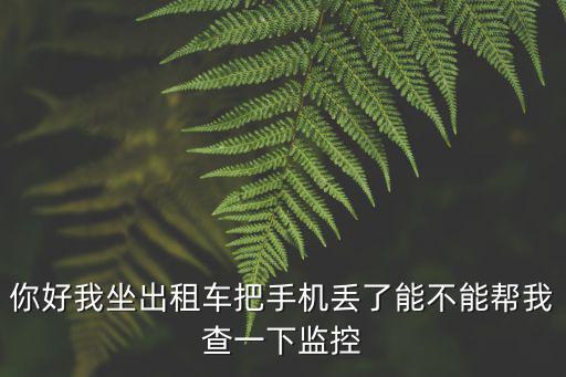 你好我坐出租車把手機丟了能不能幫我查一下監(jiān)控