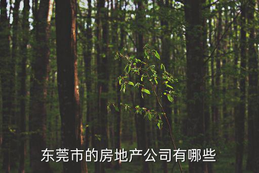 東莞市的房地產(chǎn)公司有哪些