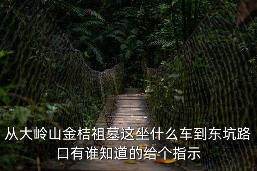 東莞大嶺山金桔路口，從大嶺山金桔祖墓這坐什么車到東坑路口有誰知道的給個指示