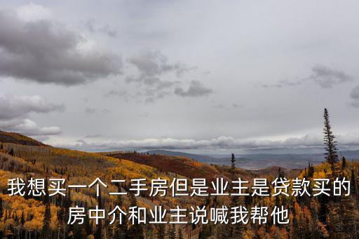我想買一個二手房但是業主是貸款買的房中介和業主說喊我幫他
