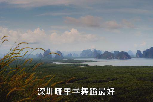 深圳哪里學(xué)舞蹈最好