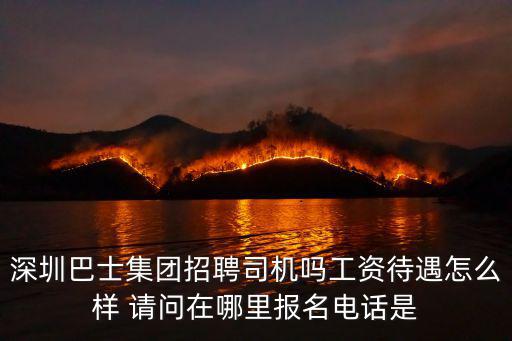 深圳巴士集團招聘司機嗎工資待遇怎么樣 請問在哪里報名電話是