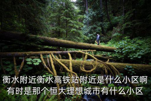 衡水附近衡水高鐵站附近是什么小區(qū)啊有時是那個恒大理想城市有什么小區(qū)