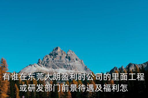 東莞大朗盈利時怎么樣，東莞市大朗鎮怎么樣