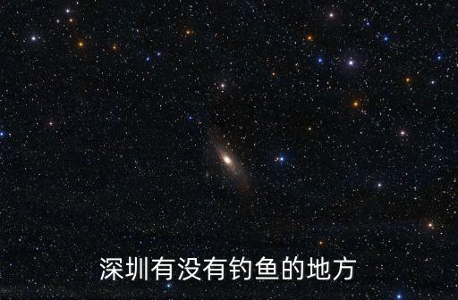 深圳有沒有釣魚的地方
