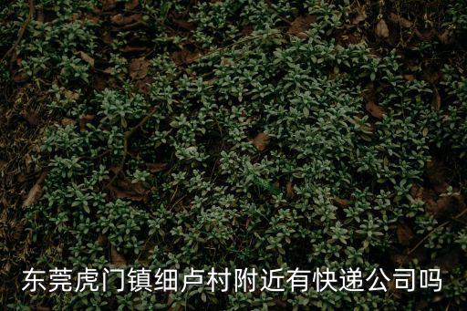 東莞虎門鎮細盧村附近有快遞公司嗎