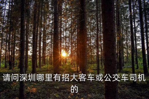 請問深圳哪里有招大客車或公交車司機的