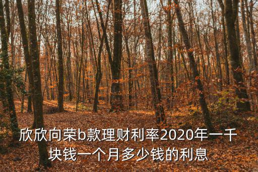 欣欣向榮b款理財(cái)利率2020年一千塊錢(qián)一個(gè)月多少錢(qián)的利息