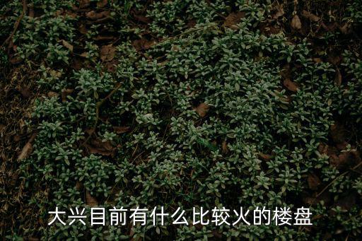 大興目前有什么比較火的樓盤
