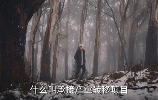 什么叫承接產(chǎn)業(yè)轉(zhuǎn)移項目