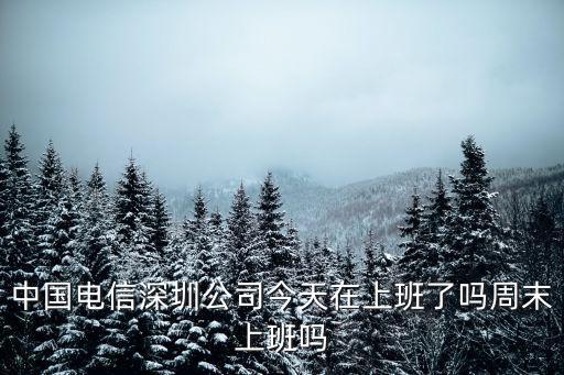 中國電信深圳公司今天在上班了嗎周末上班嗎