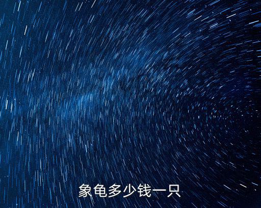 象龜多少錢一只