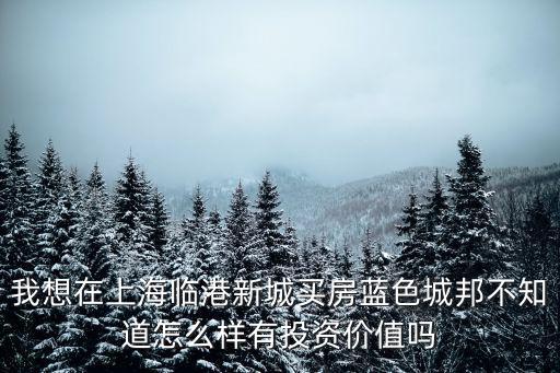 臨港新城新樓盤哪個好在售，南匯和臨港新城哪個好
