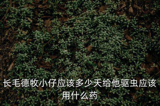 長毛德牧小仔應該多少天給他驅蟲應該用什么藥