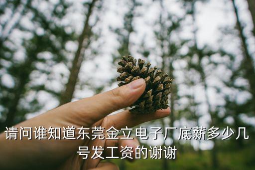 東莞金立手機廠工資，請問誰知道東莞金立電子廠底薪多少幾號發工資的謝謝