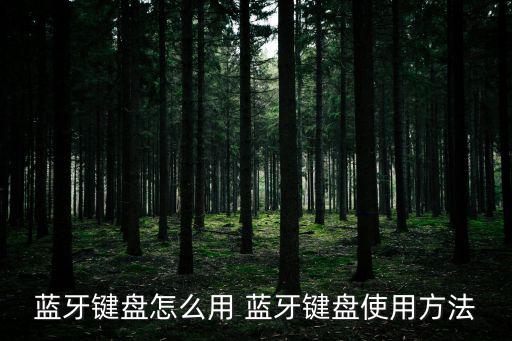 藍(lán)牙鍵盤怎么用 藍(lán)牙鍵盤使用方法