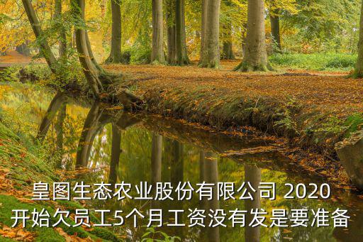 皇圖生態農業股份有限公司 2020開始欠員工5個月工資沒有發是要準備