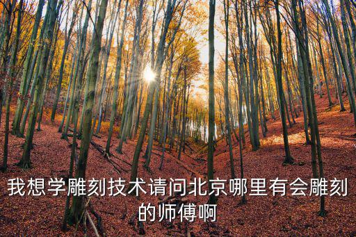 我想學雕刻技術請問北京哪里有會雕刻的師傅啊