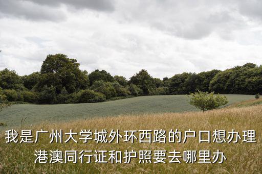 我是廣州大學城外環西路的戶口想辦理港澳同行證和護照要去哪里辦