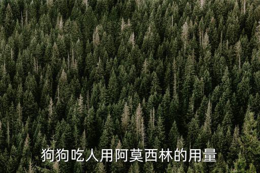 狗狗吃人用阿莫西林的用量