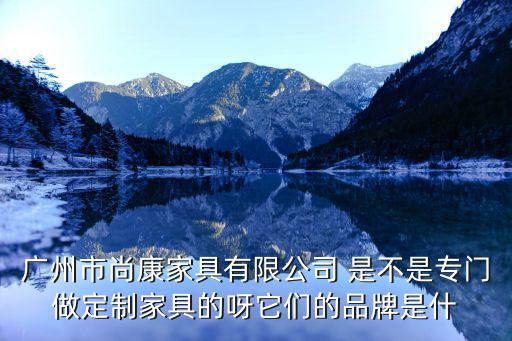 廣州市尚康家具有限公司 是不是專門做定制家具的呀它們的品牌是什