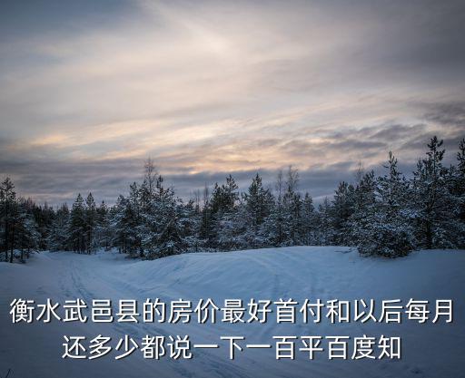 衡水武邑縣的房價最好首付和以后每月還多少都說一下一百平百度知