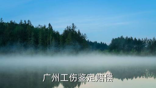 廣州的工傷賠償標(biāo)準(zhǔn)2015年，廣州工傷鑒定賠償