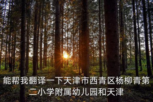天津市西青區翻譯文件，求名片英文翻譯高手進 天津市西青區楊柳青鎮人民政府 還有就是鎮長