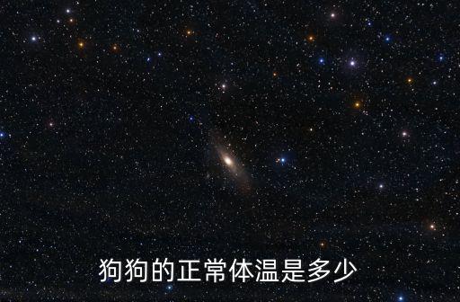 狗狗的正常體溫是多少