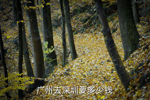 廣州去深圳要多少錢