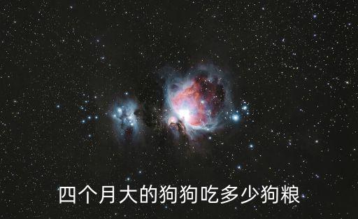 四個月柴犬吃多少狗糧，四個月大的狗狗吃多少狗糧