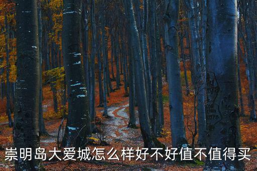 崇明島大愛城怎么樣好不好值不值得買