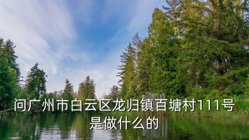 問廣州市白云區龍歸鎮百塘村111號是做什么的