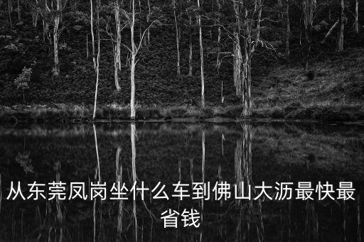 從東莞鳳崗坐什么車到佛山大瀝最快最省錢