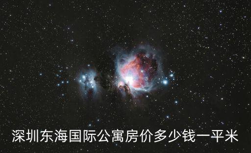 深圳東海國際公寓房價多少錢一平米