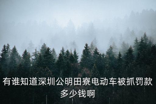 有誰知道深圳公明田寮電動車被抓罰款多少錢啊