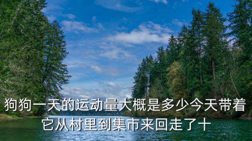 小狗每天運動多少正常，狗狗每天多大的運動量好