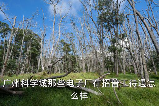 廣州科學(xué)城那些電子廠(chǎng)在招普工待遇怎么樣