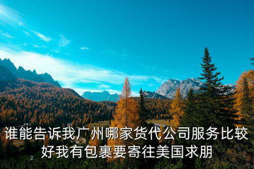誰能告訴我廣州哪家貨代公司服務(wù)比較好我有包裹要寄往美國求朋