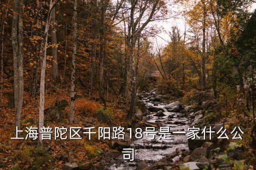 上海普陀區千陽路18號是一家什么公司