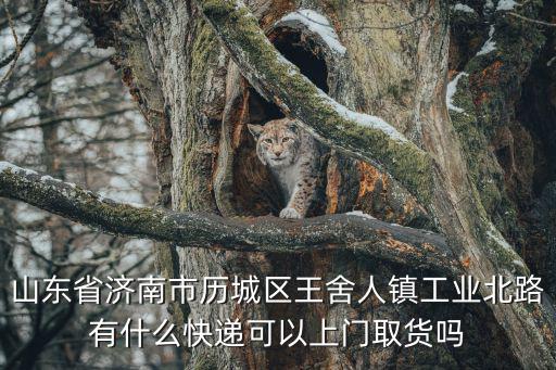 山東省濟南市歷城區(qū)王舍人鎮(zhèn)工業(yè)北路有什么快遞可以上門取貨嗎