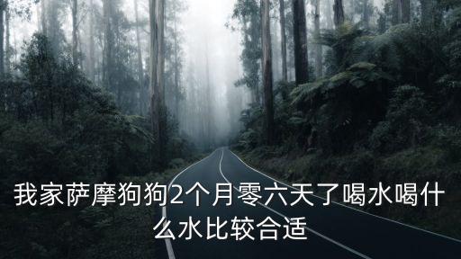 我家薩摩狗狗2個月零六天了喝水喝什么水比較合適