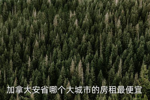 加拿大安省哪個(gè)大城市的房租最便宜