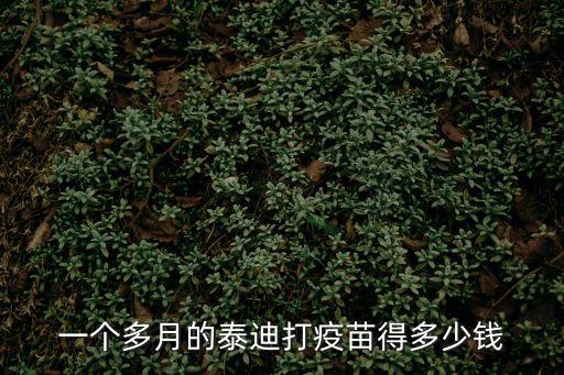 一個多月的泰迪打疫苗得多少錢