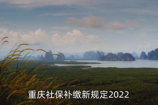 重慶社保補(bǔ)繳新規(guī)定2022